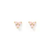Cassia Stud Earrings - Rose