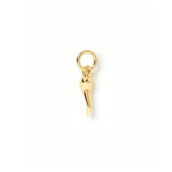 Cornicello Gold Charm Small