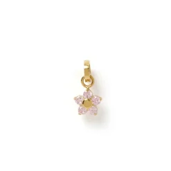 Gardenia Charm - Rose