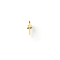Initial Charm
