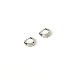 Max Silver Earrings