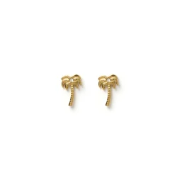 Palm Springs Gold Studs