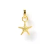 Sea Star Charm