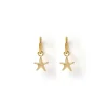 Sea Star Gold Earrings