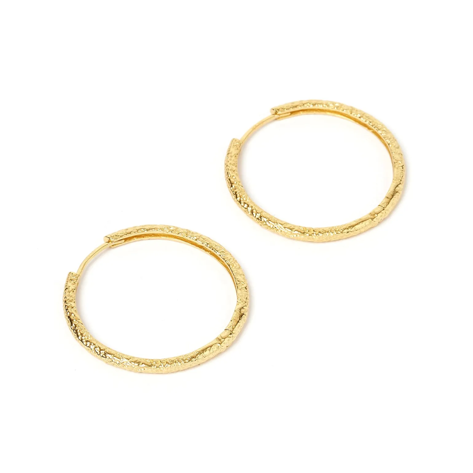 Sebastian Gold Hoop Earrings
