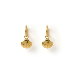 Shelli Gold Earrings