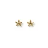 Starfish Gold Studs