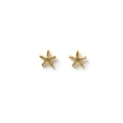 Starfish Gold Studs