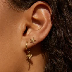 Starfish Gold Studs